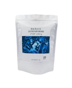 Bacillus Licheniformis